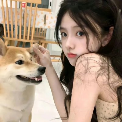 状王宋世杰2国语
